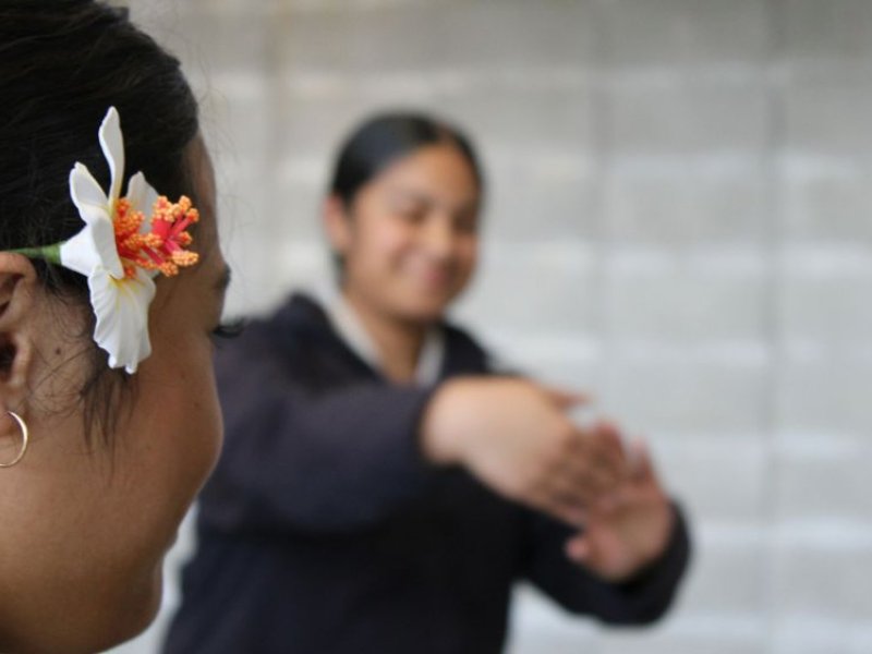 cultural council 2025