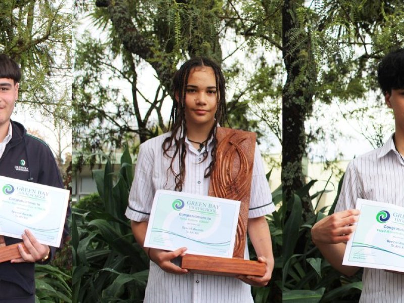 Te ahi ka award