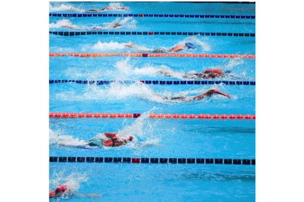 swimming champs