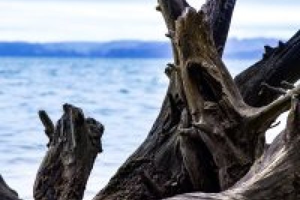 German Thumbnail German Thumbnail