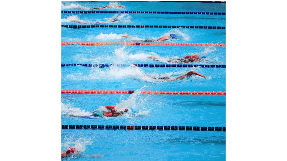 swimming champs