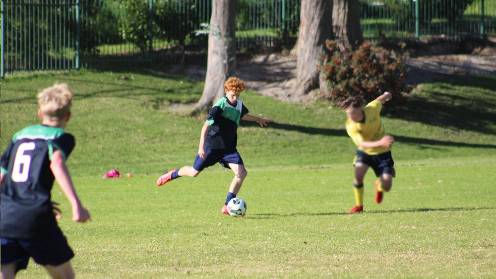 weekly sports report