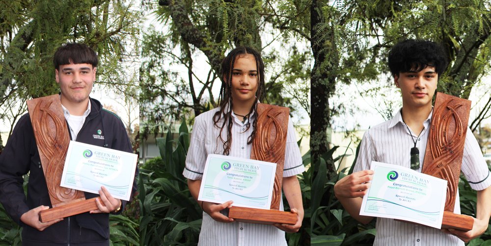 Te ahi ka award